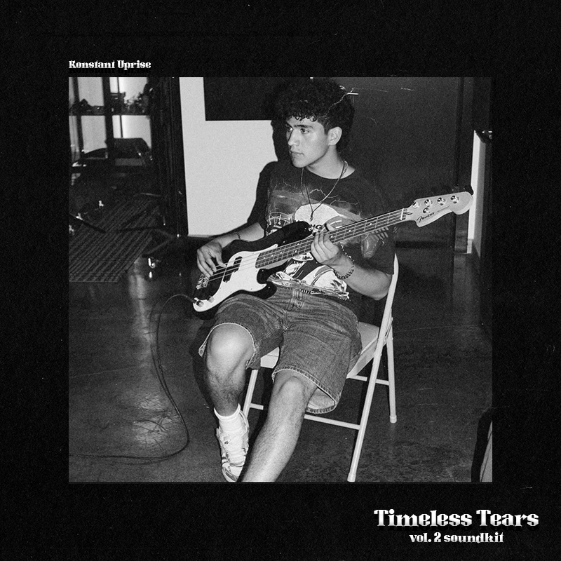 Timeless Tears - Premium Vocals & Guitars